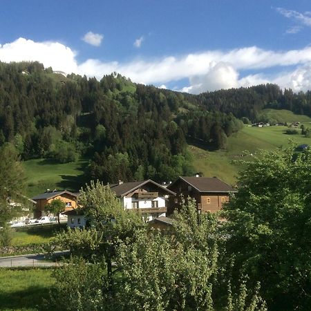 ホラースバッハ・イム・ピンツガウKitzbuheler Alpen Penthouse Hollersbachアパートメント エクステリア 写真